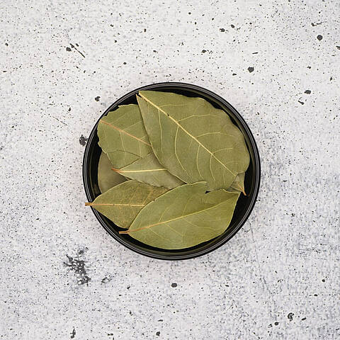 Feuilles de laurier