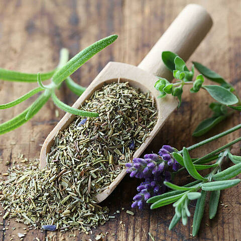 Herbes de la Procence effeuillées sur une cuillère en bois