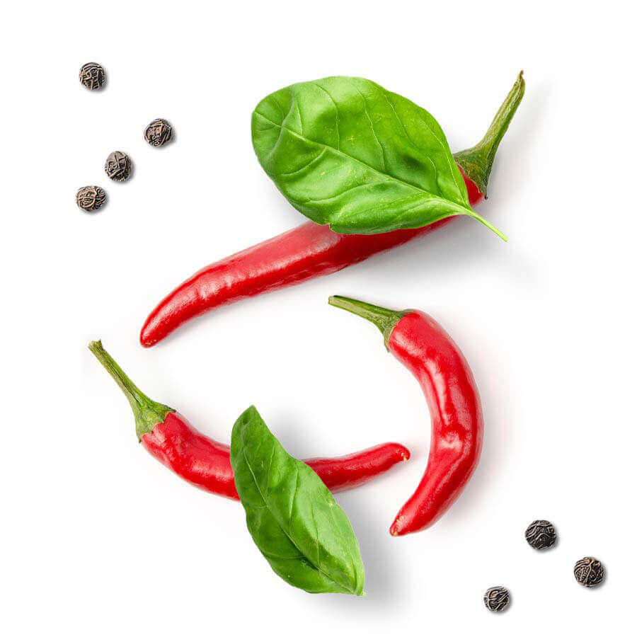 Drei rote Chilischoten, Basilikum und Pfeffer